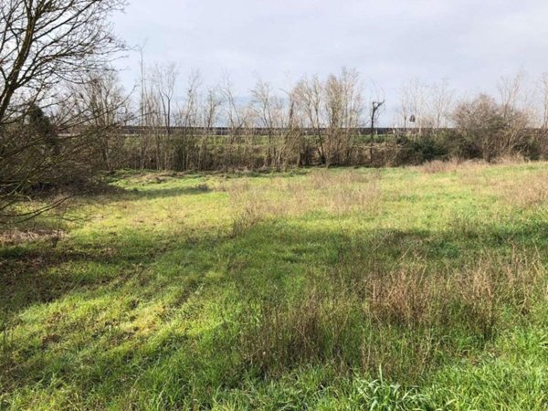 terreno agricolo in vendita a Todi in zona Pian di Porto