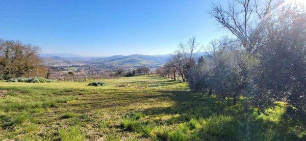 casa indipendente in vendita a Todi