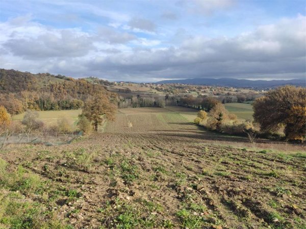 terreno agricolo in vendita a Todi in zona Cecanibbi