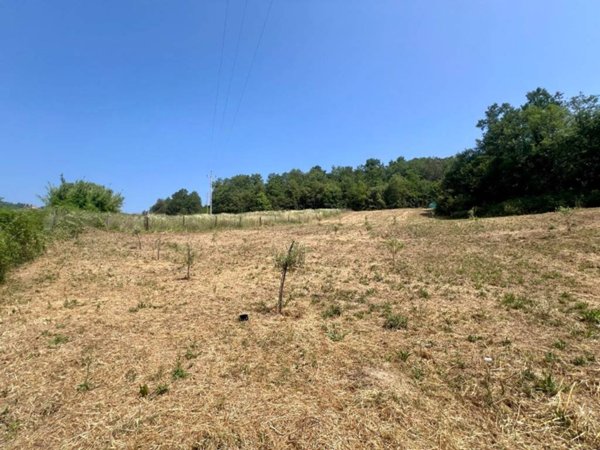 terreno agricolo in vendita a Todi in zona Casemasce