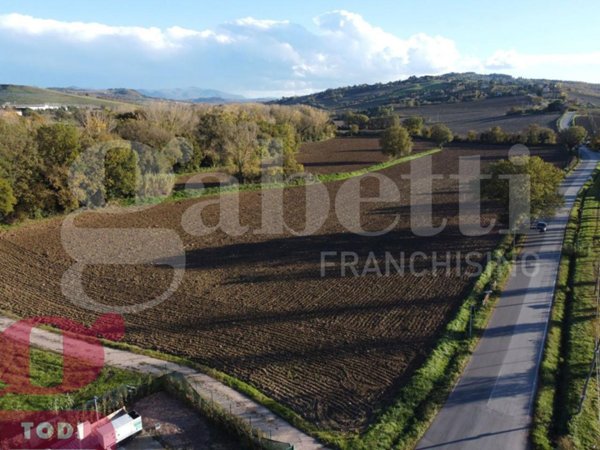 terreno agricolo in vendita a Todi