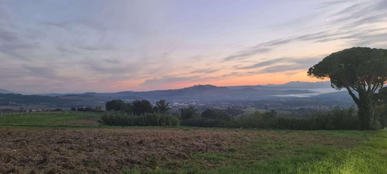 terreno edificabile in vendita a Todi