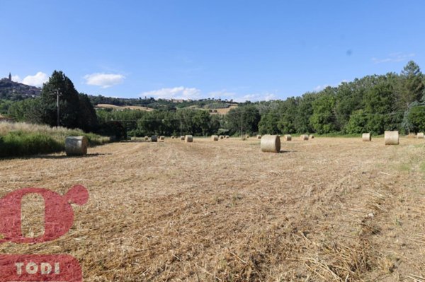 terreno agricolo in vendita a Todi