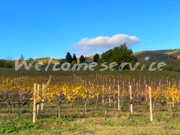 casa indipendente in vendita a Todi