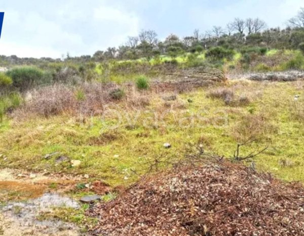 terreno agricolo in vendita a Todi in zona Camerata