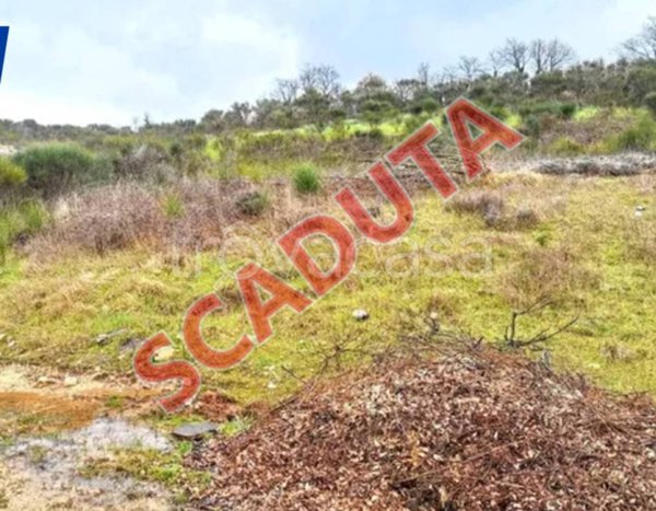 terreno agricolo in vendita a Todi in zona Camerata