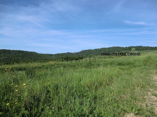 rudere in vendita a Todi