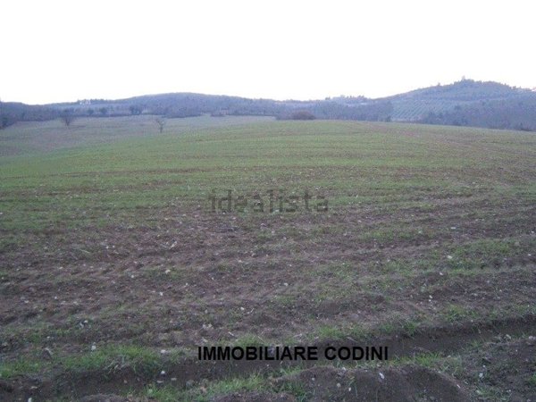terreno agricolo in vendita a Todi