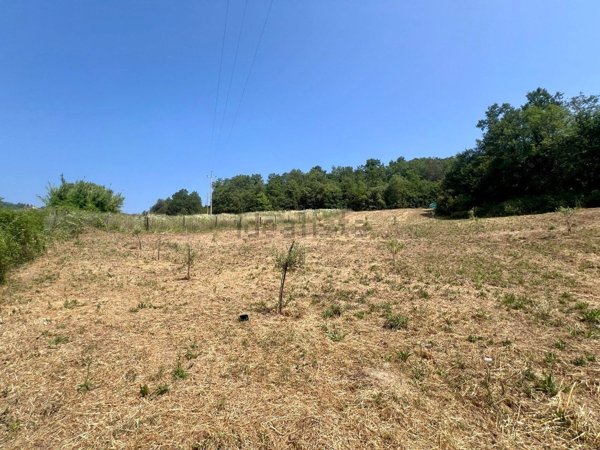terreno agricolo in vendita a Todi in zona Casemasce