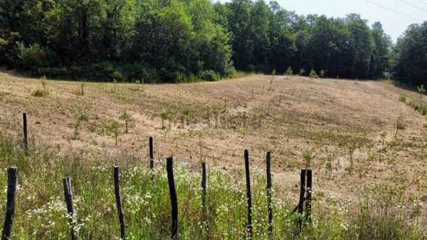 terreno agricolo in vendita a Todi in zona Casemasce