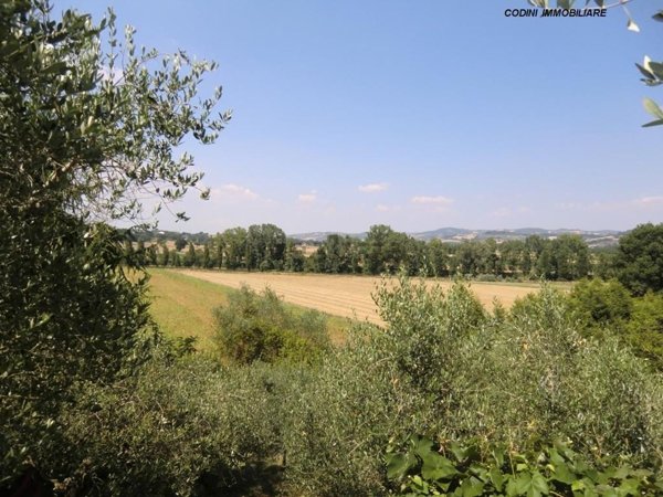 terreno agricolo in vendita a Todi