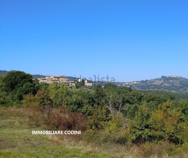 terreno agricolo in vendita a Todi in zona Cecanibbi