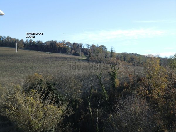 terreno edificabile in vendita a Todi