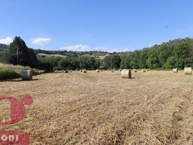 terreno agricolo in vendita a Todi
