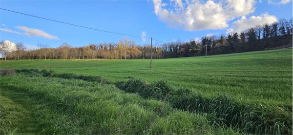 azienda agricola in vendita a Todi in zona Pian di Porto