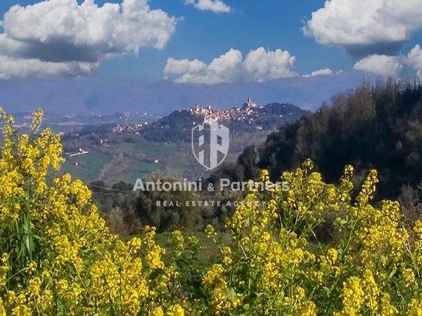 casa indipendente in vendita a Todi