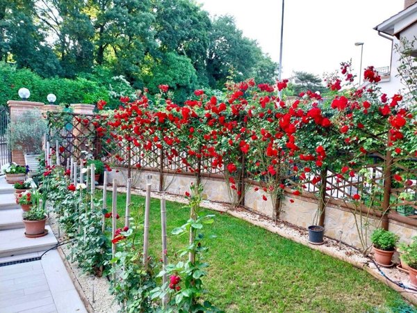 appartamento in vendita a Todi in zona Pontecuti
