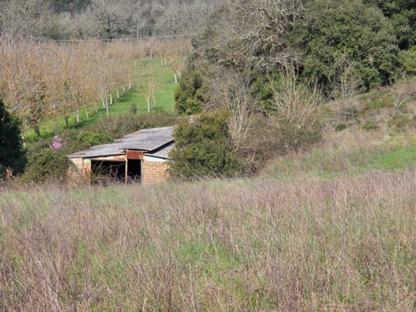 locale commerciale in vendita a Todi