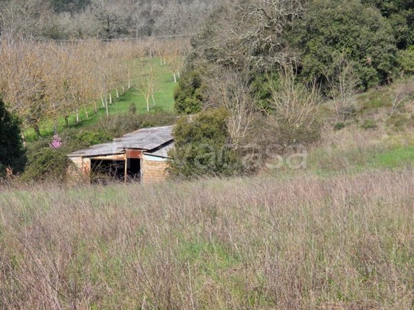 locale commerciale in vendita a Todi