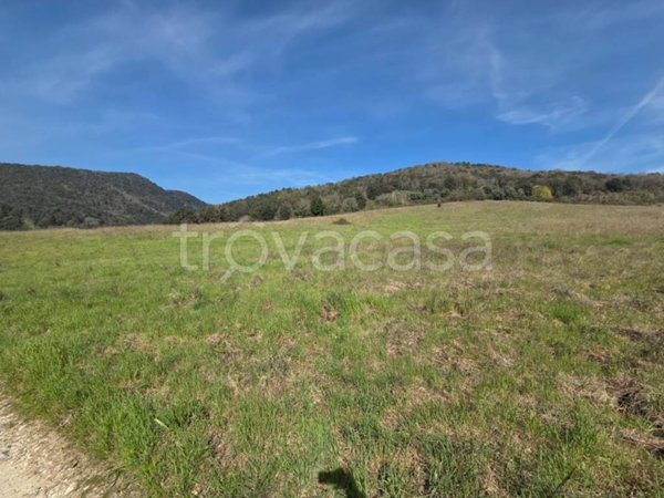 terreno agricolo in vendita a Todi