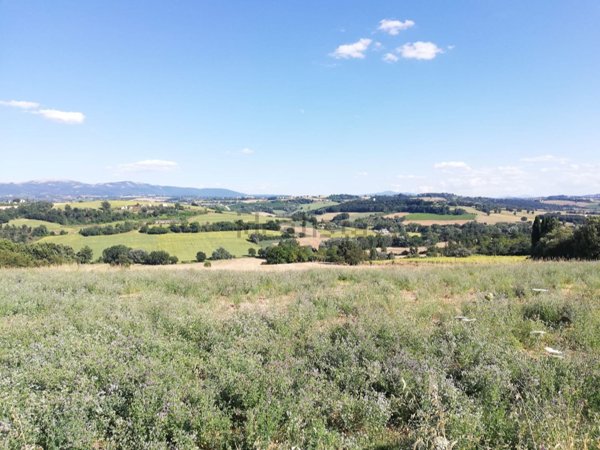 terreno edificabile in vendita a Todi in zona Ilci