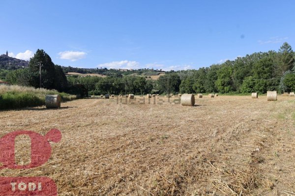 terreno agricolo in vendita a Todi
