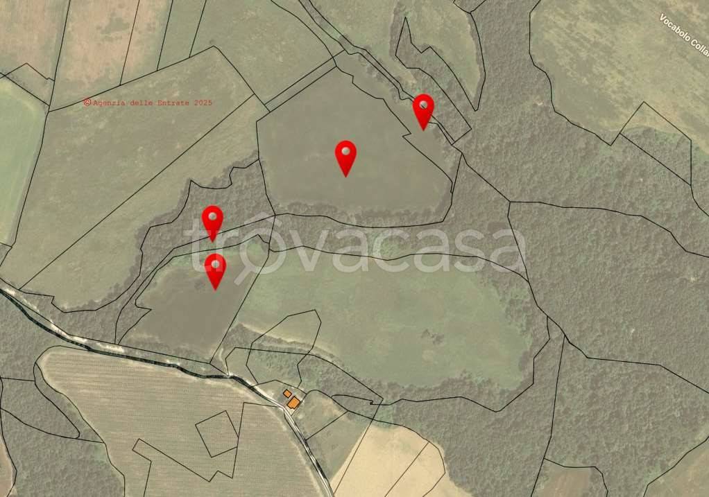 terreno agricolo in vendita a Todi in zona Monticello