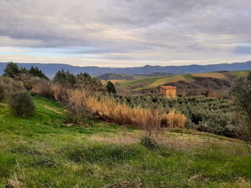 casa indipendente in vendita a Todi in zona Pesciano