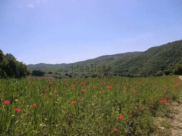 casa indipendente in vendita a Todi