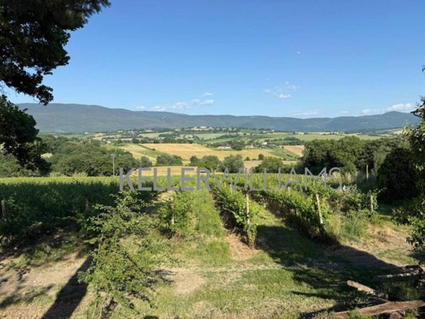 terreno agricolo in vendita a Todi