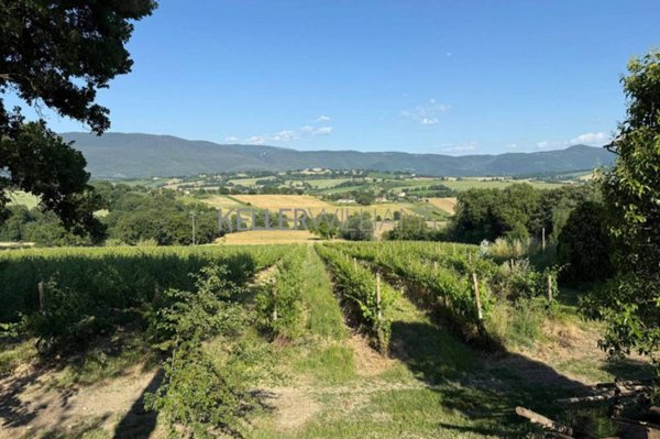 casa indipendente in vendita a Todi in zona Rosceto