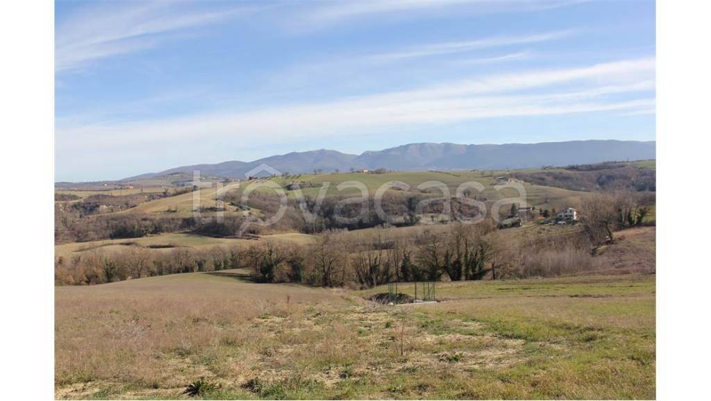 terreno agricolo in vendita a Todi