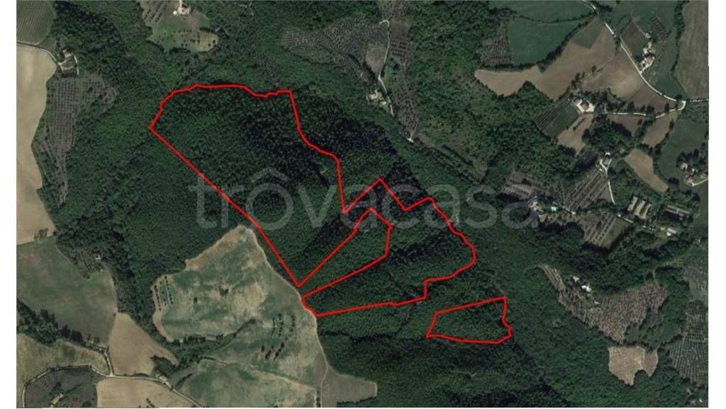 terreno agricolo in vendita a Todi