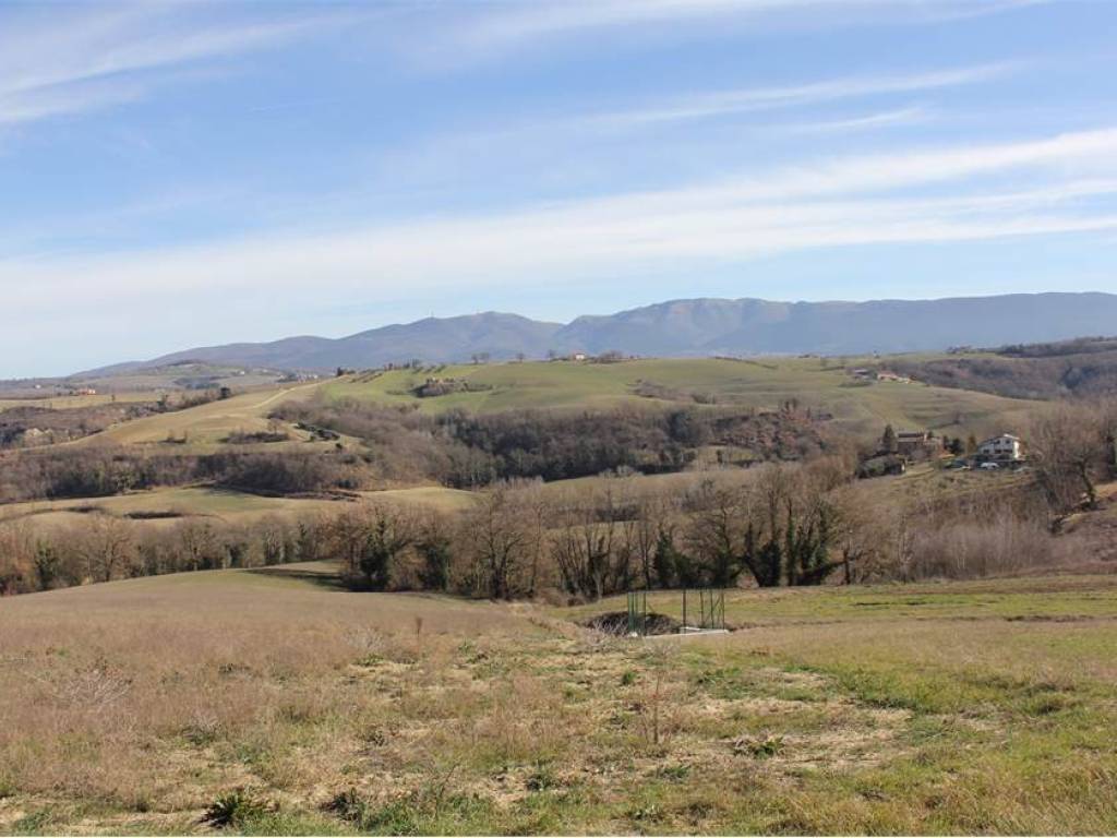terreno agricolo in vendita a Todi