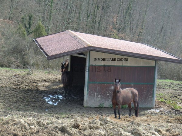 terreno in vendita a Todi in zona Pantalla