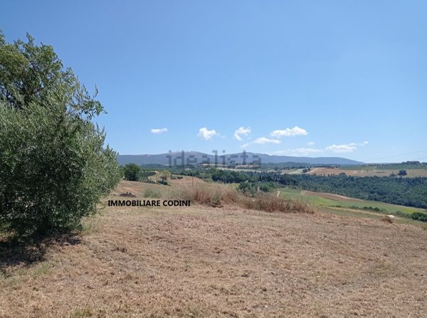 terreno in vendita a Todi