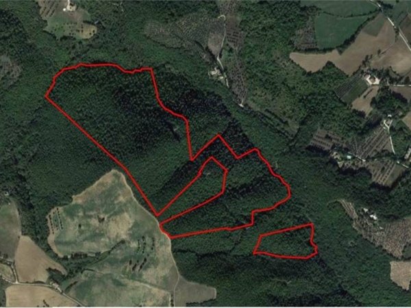 terreno in vendita a Todi