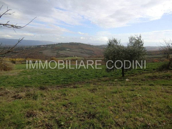 terreno in vendita a Todi in zona Romazzano