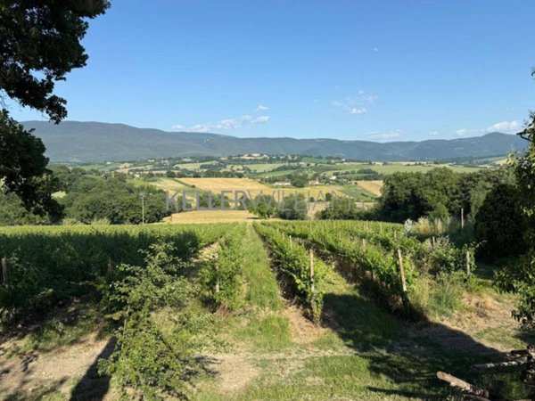 terreno in vendita a Todi in zona Rosceto