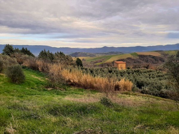 casa indipendente in vendita a Todi in zona Pesciano