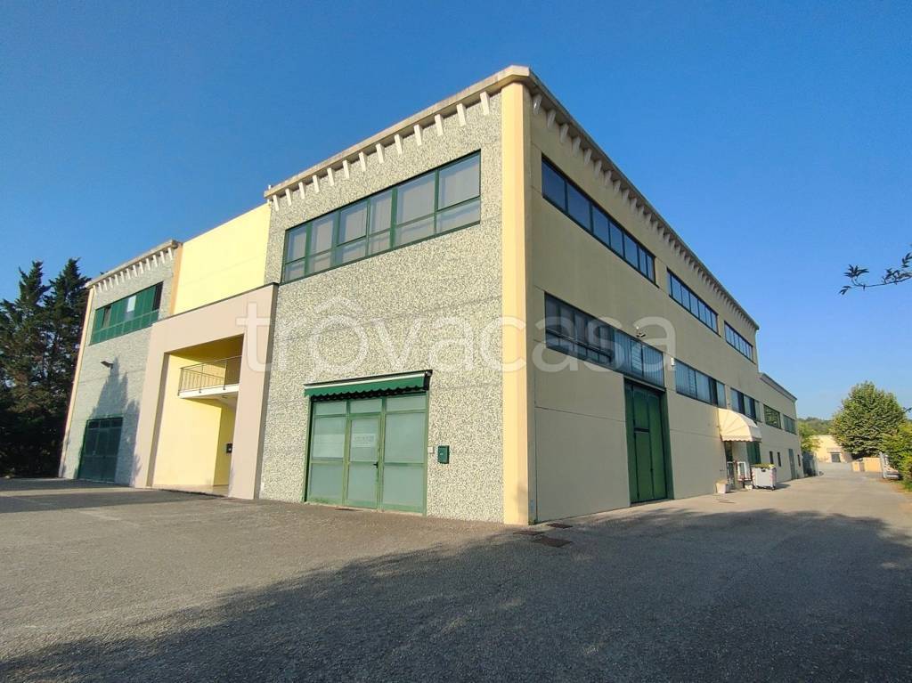 locale commerciale in vendita a Torgiano in zona Miralduolo