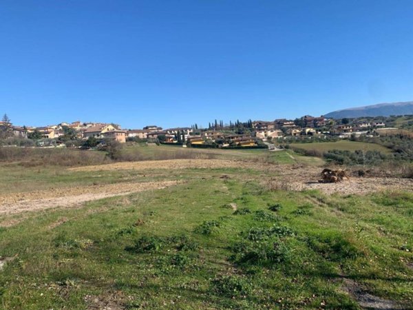 terreno agricolo in vendita a Torgiano in zona Brufa