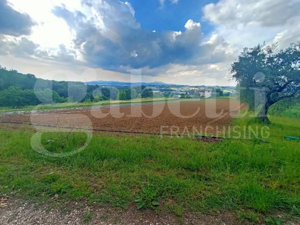 terreno agricolo in vendita a Torgiano