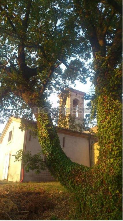 casa indipendente in vendita a Torgiano in zona Miralduolo