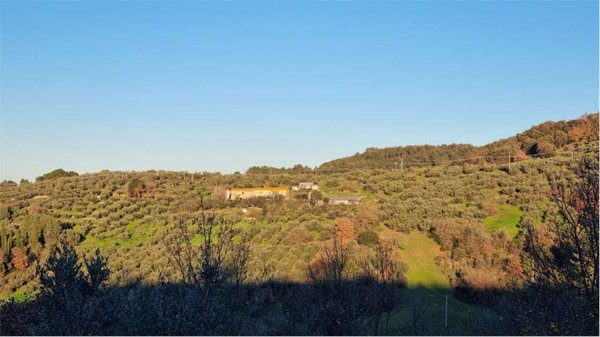 casa indipendente in vendita a Torgiano