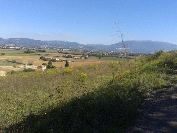 casa indipendente in vendita a Torgiano in zona Brufa
