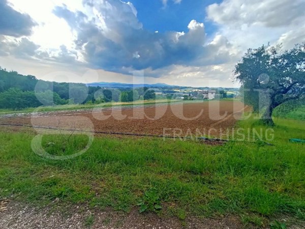 terreno agricolo in vendita a Torgiano