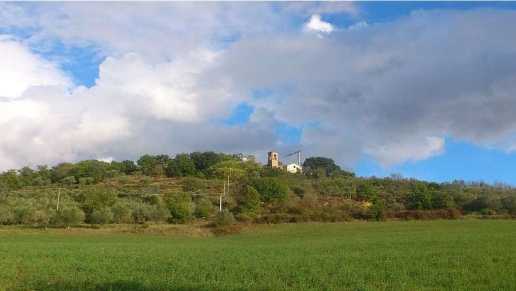 casa indipendente in vendita a Torgiano in zona Miralduolo