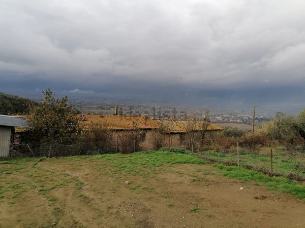 quadrivano in vendita a Torgiano