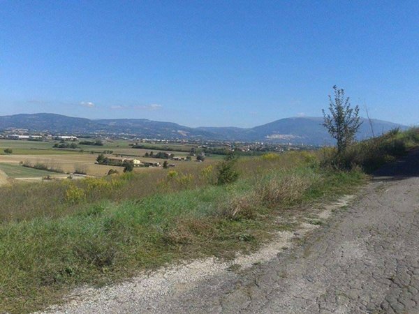 casa indipendente in vendita a Torgiano in zona Brufa